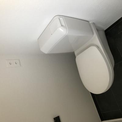 Img 0080